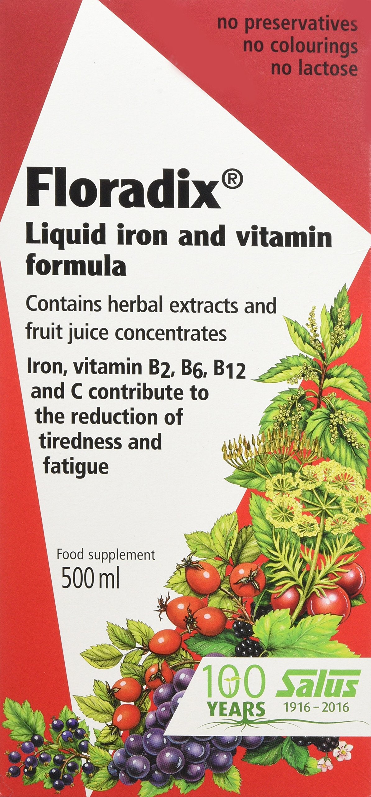 Salus Floradix Liquid Iron Formula Capsule 16.9