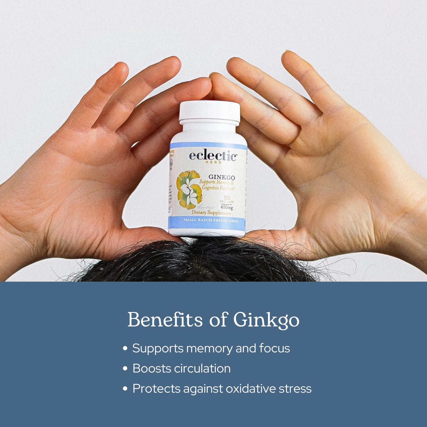 Eclectic Institute Ginkgo Biloba Capsules, 120 Count
