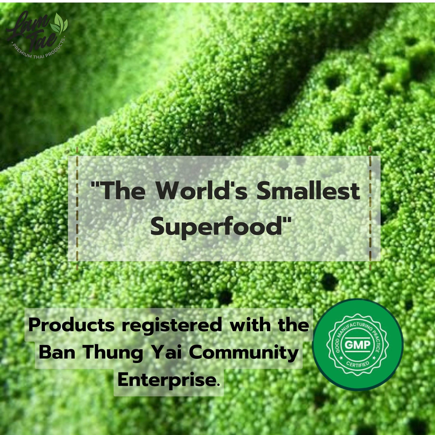 Lam Tae Pure Wolffia Powder (Mankai) 0.88