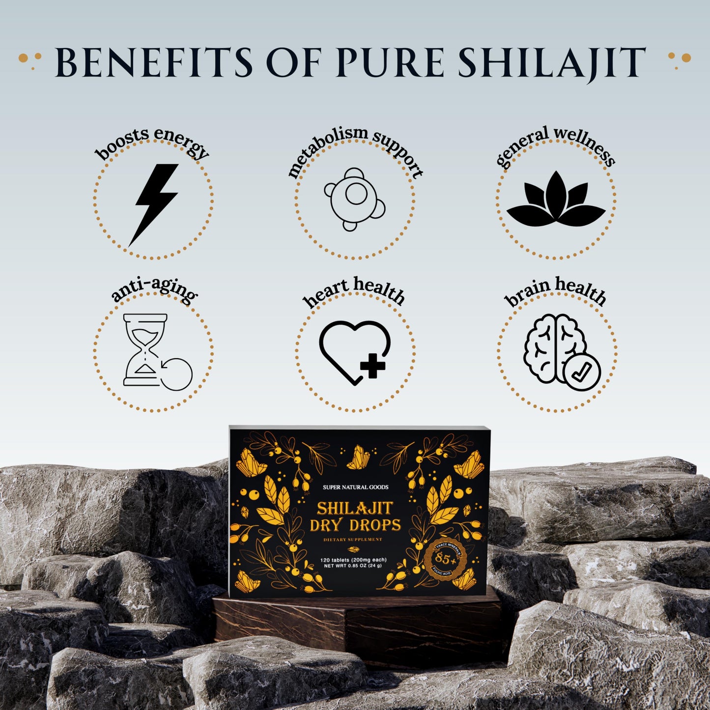 Super Natural Goods Pure Shilajit Resin Dry Drops Tablets 60 Count