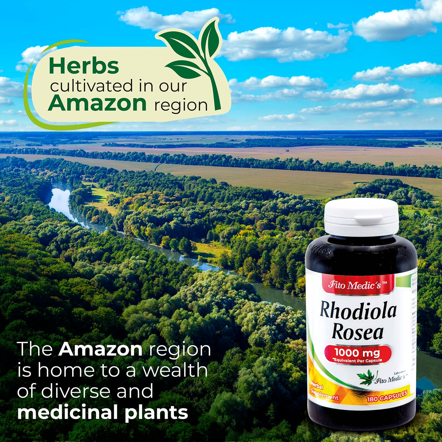 FITO MEDIC'S Rhodiola Rosea Supplement Capsules 360