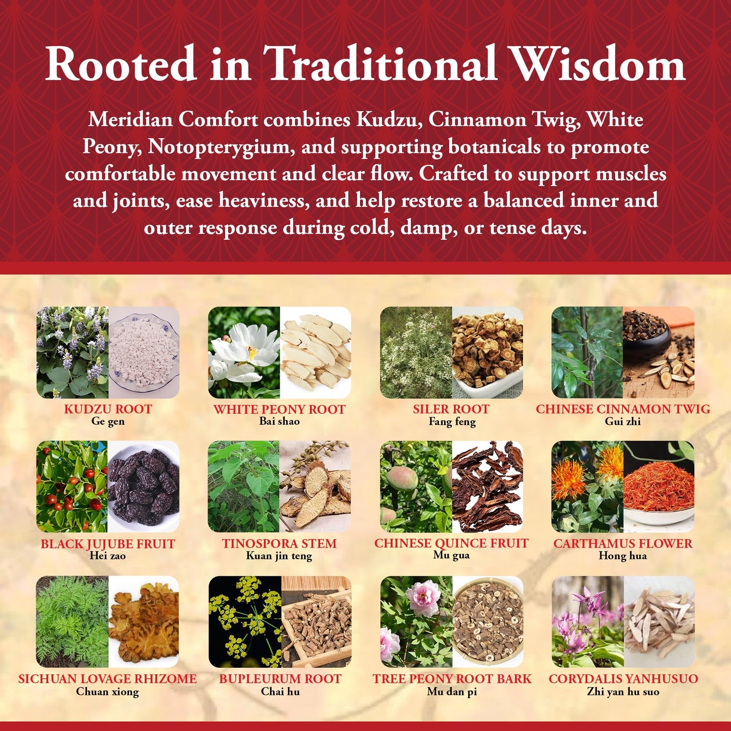 Kan Herbals Meridian Comfort Traditional Chinese Herbal Formula with Kudzu and Cinnamon Twig to Support Comfortable Movement, Flexible Joints, and Balanced Inner Outer Response, 120 Tablets