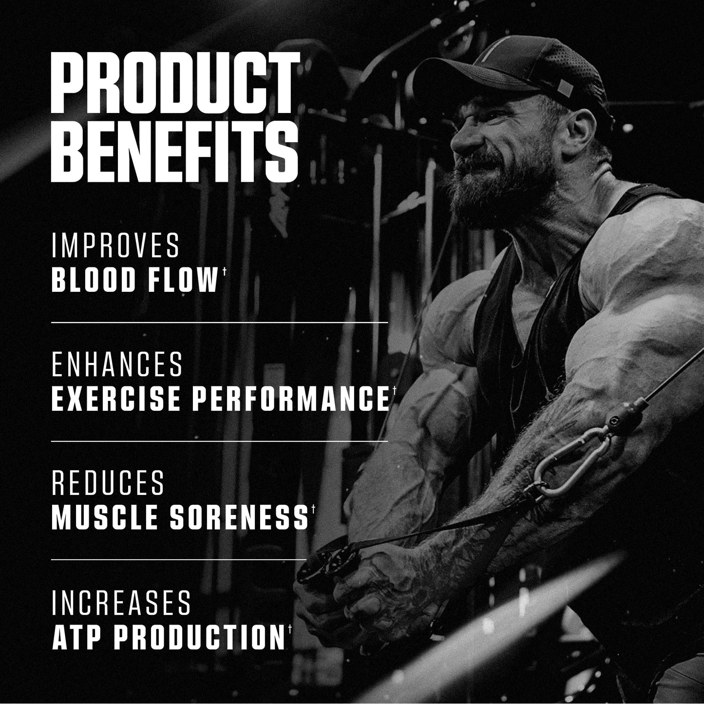 Axe & Sledge Basics Citrulline Powder 7.05 oz