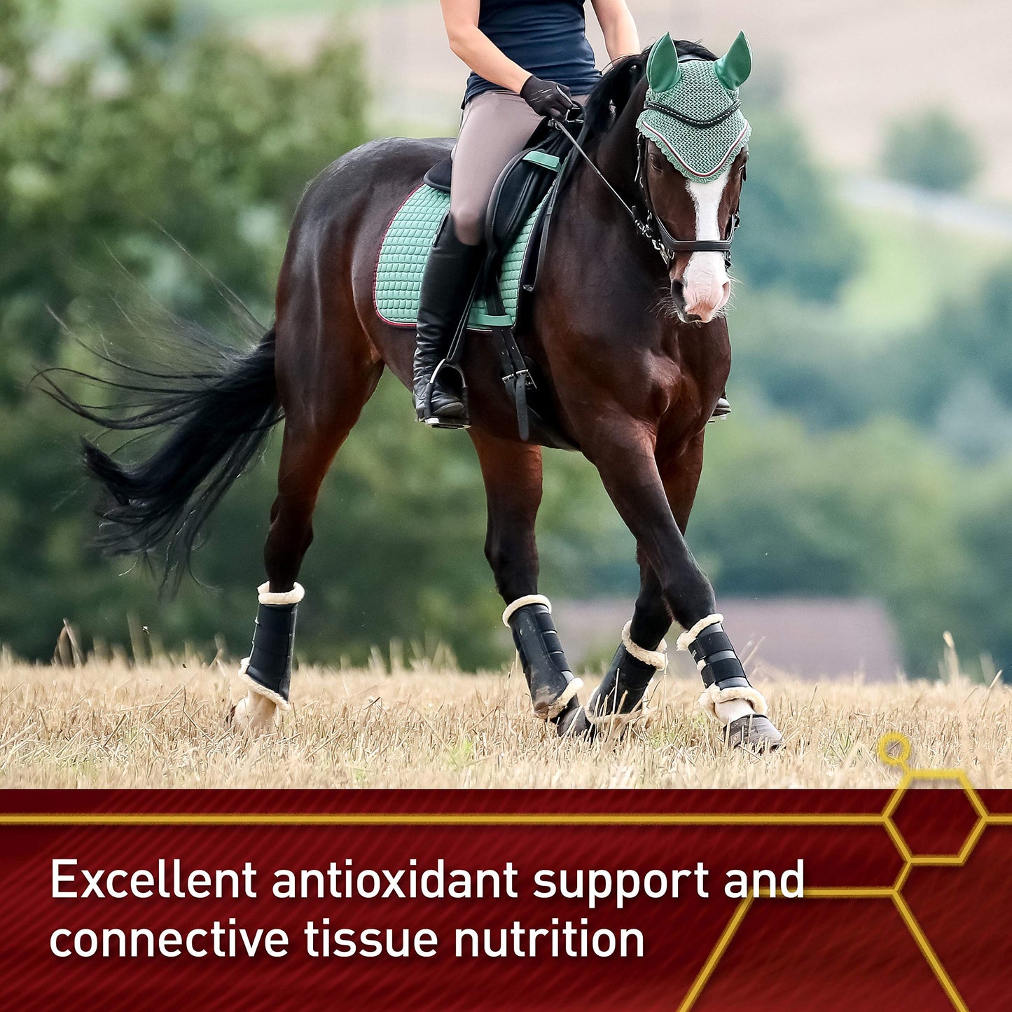 Vita Flex Pro Pure C Antioxidant Vitamin C Supplement for Horses, Powder, 2 lb, 128-Day Supply