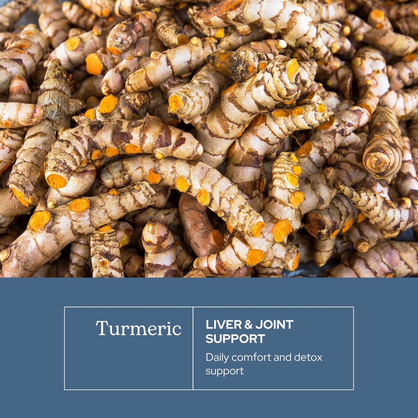 Eclectic Institute Organic Turmeric Capsules 90 Capsules