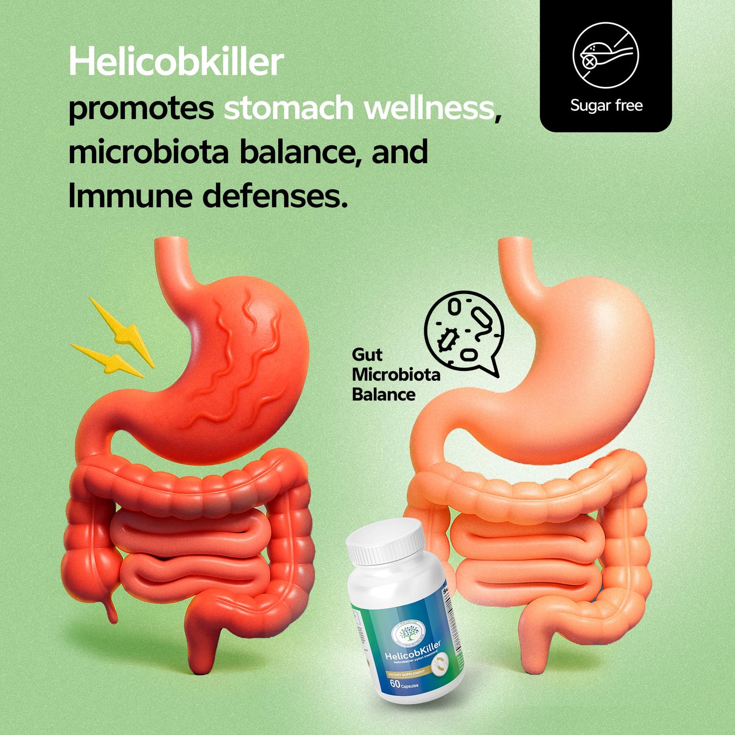 Nutraxcol Pharmaceuticals HELICOBKILLER - Natural Digestive Support Supplement Capsule, 60 Capsules