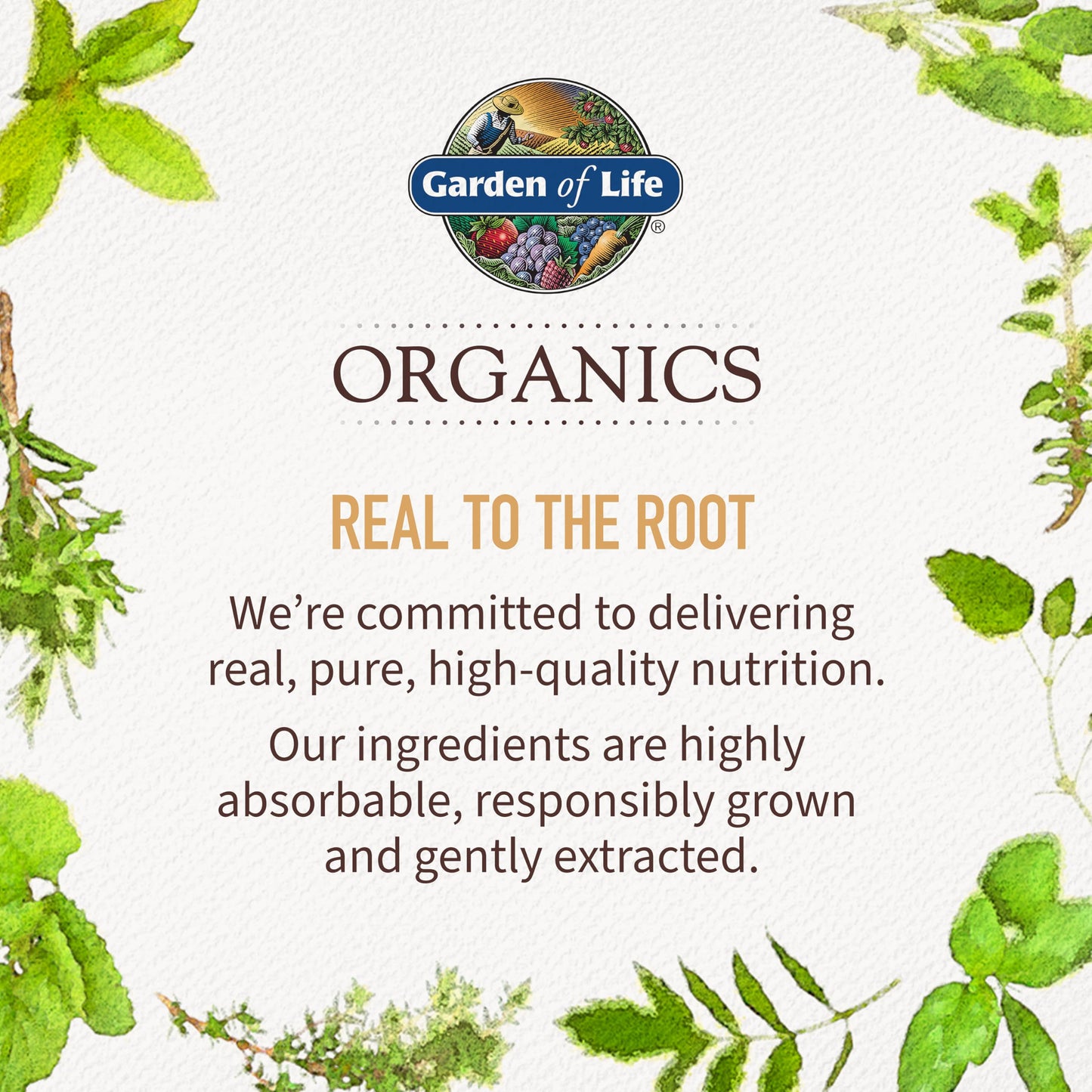 Garden of Life Organics Men's 40+ Multivitamin with Prostate Support, B12 & Vitamins – Vegan Daily Whole Food Multivitamin, Non-GMO, Certified Organic, 60 Tablets
