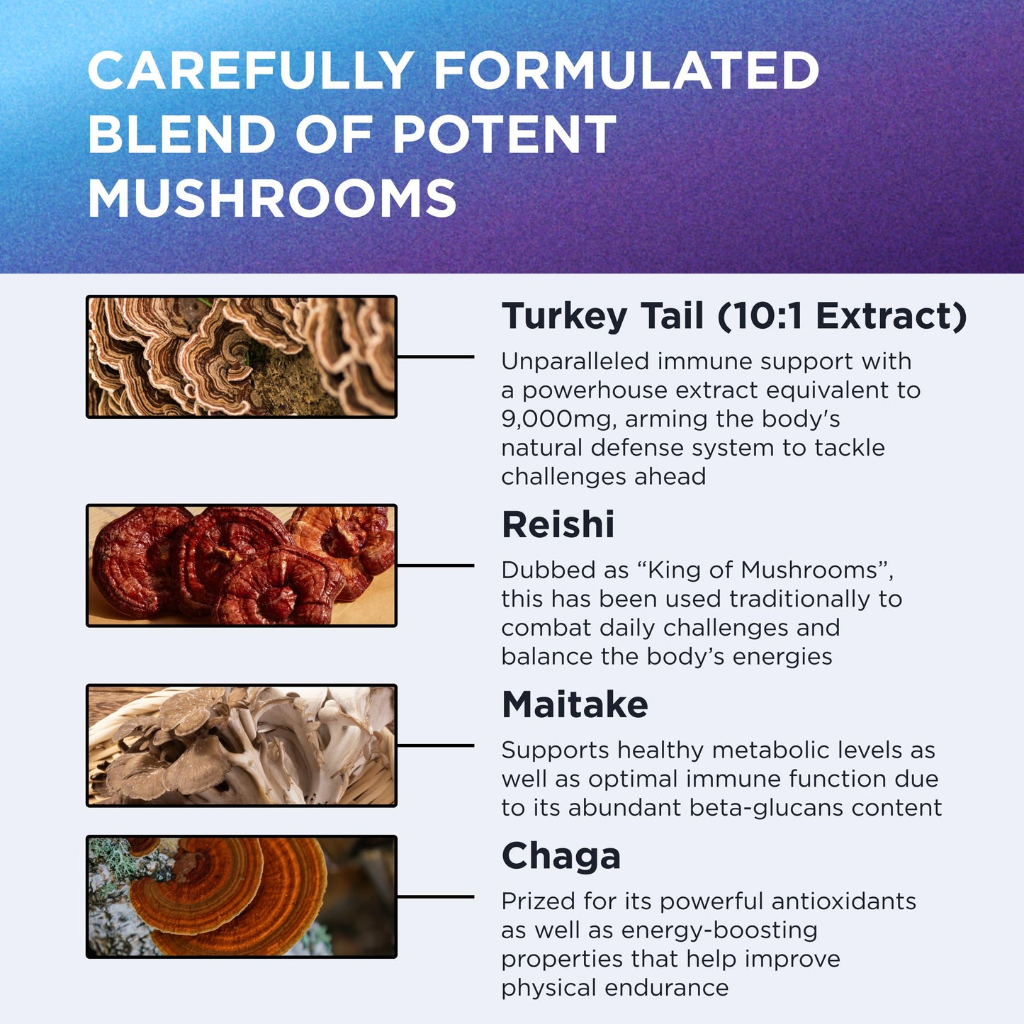 Dr. Emil Nutrition Mushroom Supplement Elite Turkey Tail Mushroom Plus Capsule 2-Pack