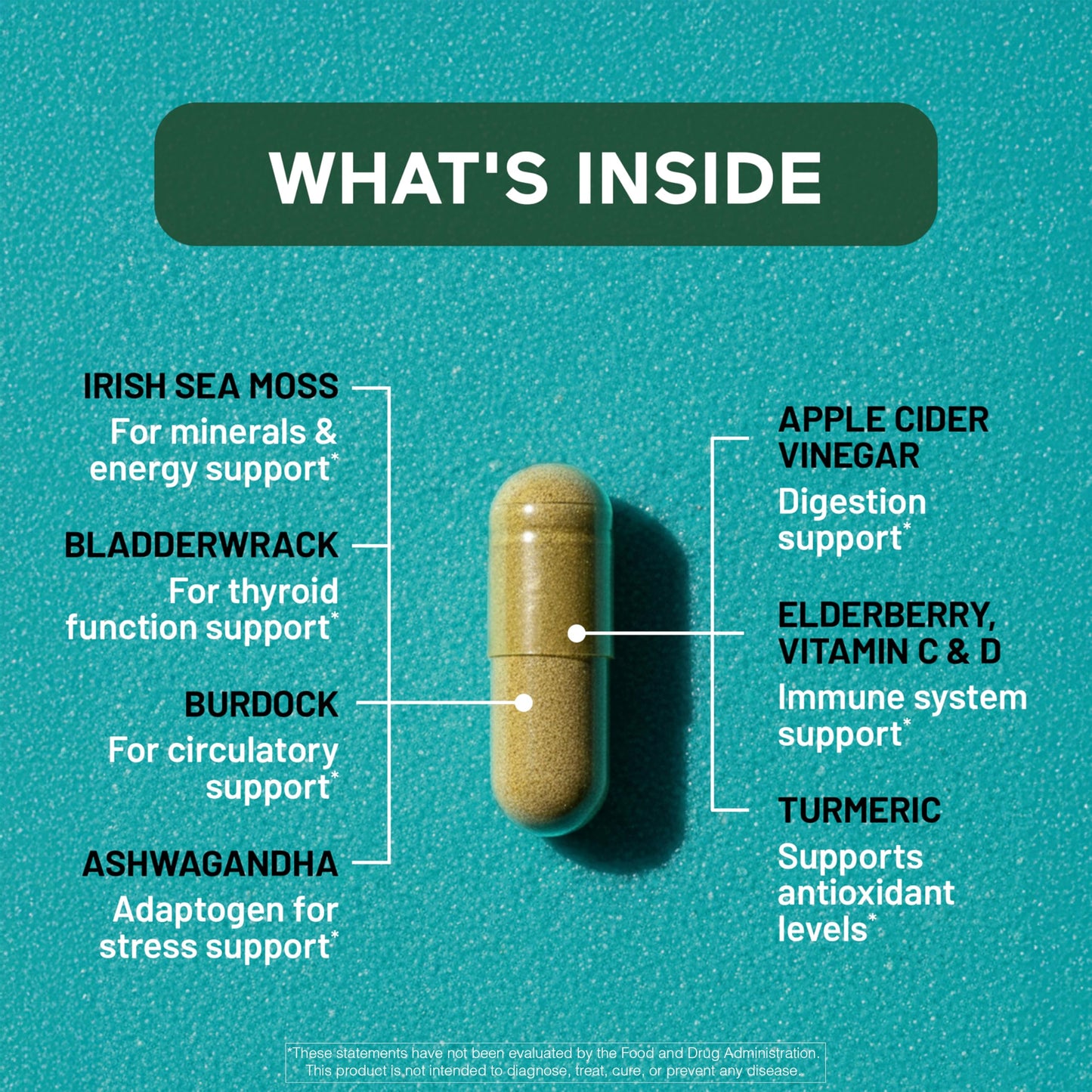 SMARTERNUTRITION Sea Moss Multimineral with Irish Sea Moss with Ashwagandha Bladderwrack Turmeric Zinc Vitamin C Elderberry Dandelion 60 Softgels