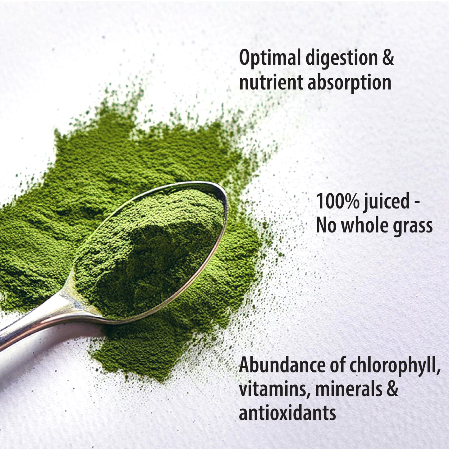Organic Traditions Wheat Grass Powder 5.3 oz