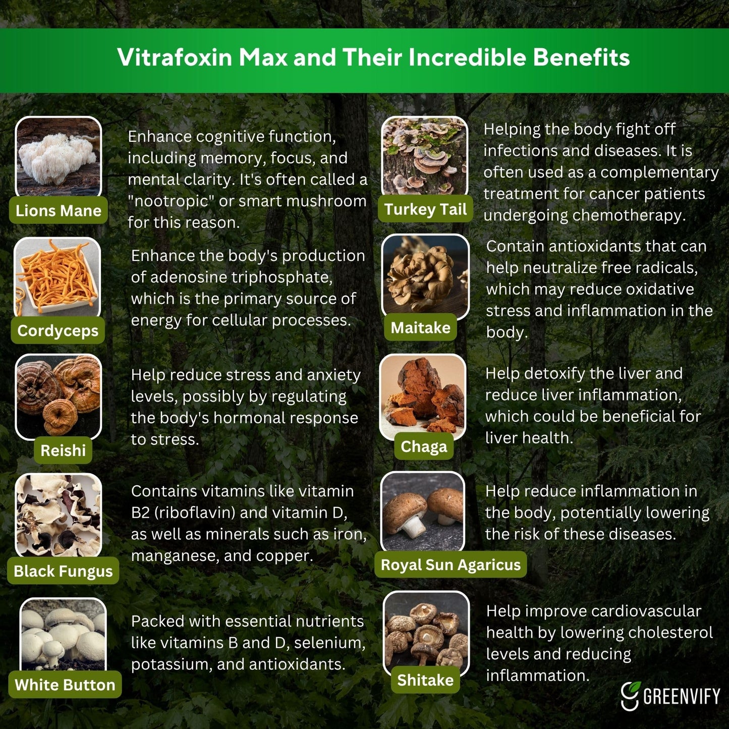 GREENVIFY Vitaloxin Max Super Mushroom Complex, 10-in-1 Adaptogen and Immune Support, 60 Capsules