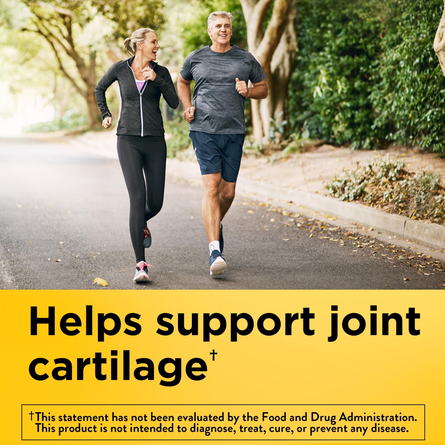 Nature Made Glucosamine Chondroitin Complex with MSM Caplets 120