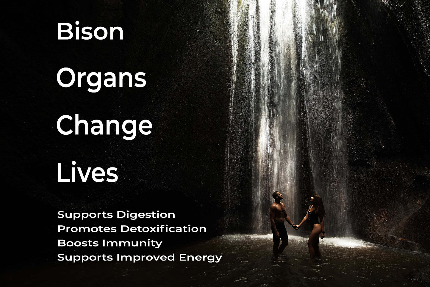 LGS Supplements Grass Fed Bison Organ Supplement Capsules, 180