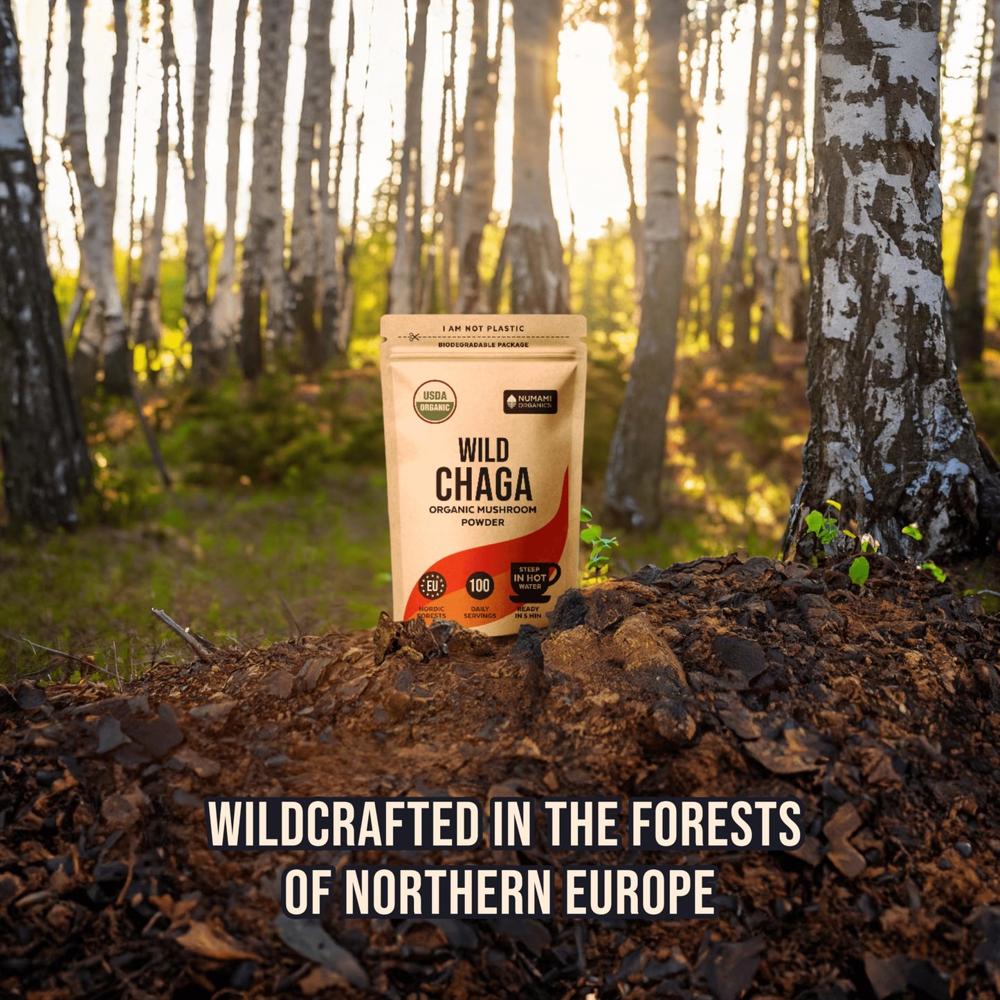 Numami Organic Chaga Mushrooms Powder 3.5 oz