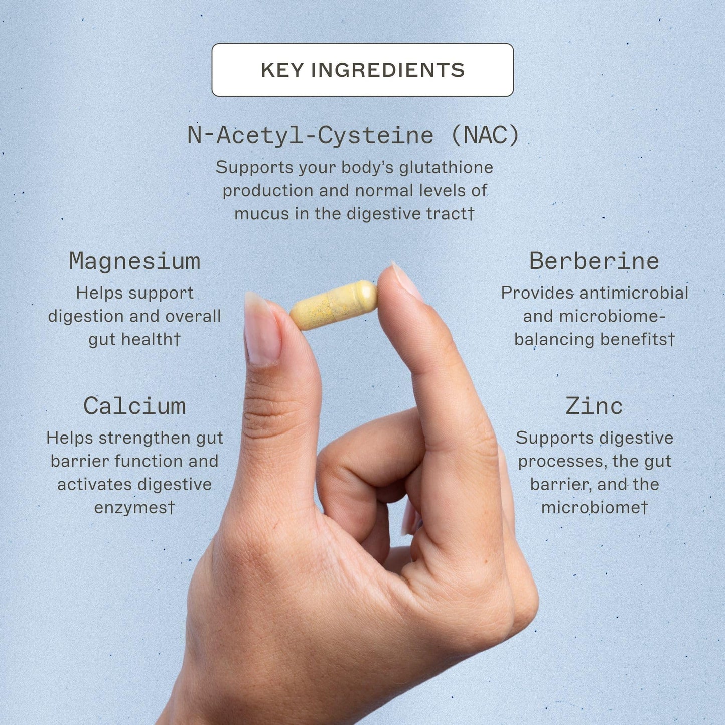 Amy Myers MD Microb-Clear 120 Capsules