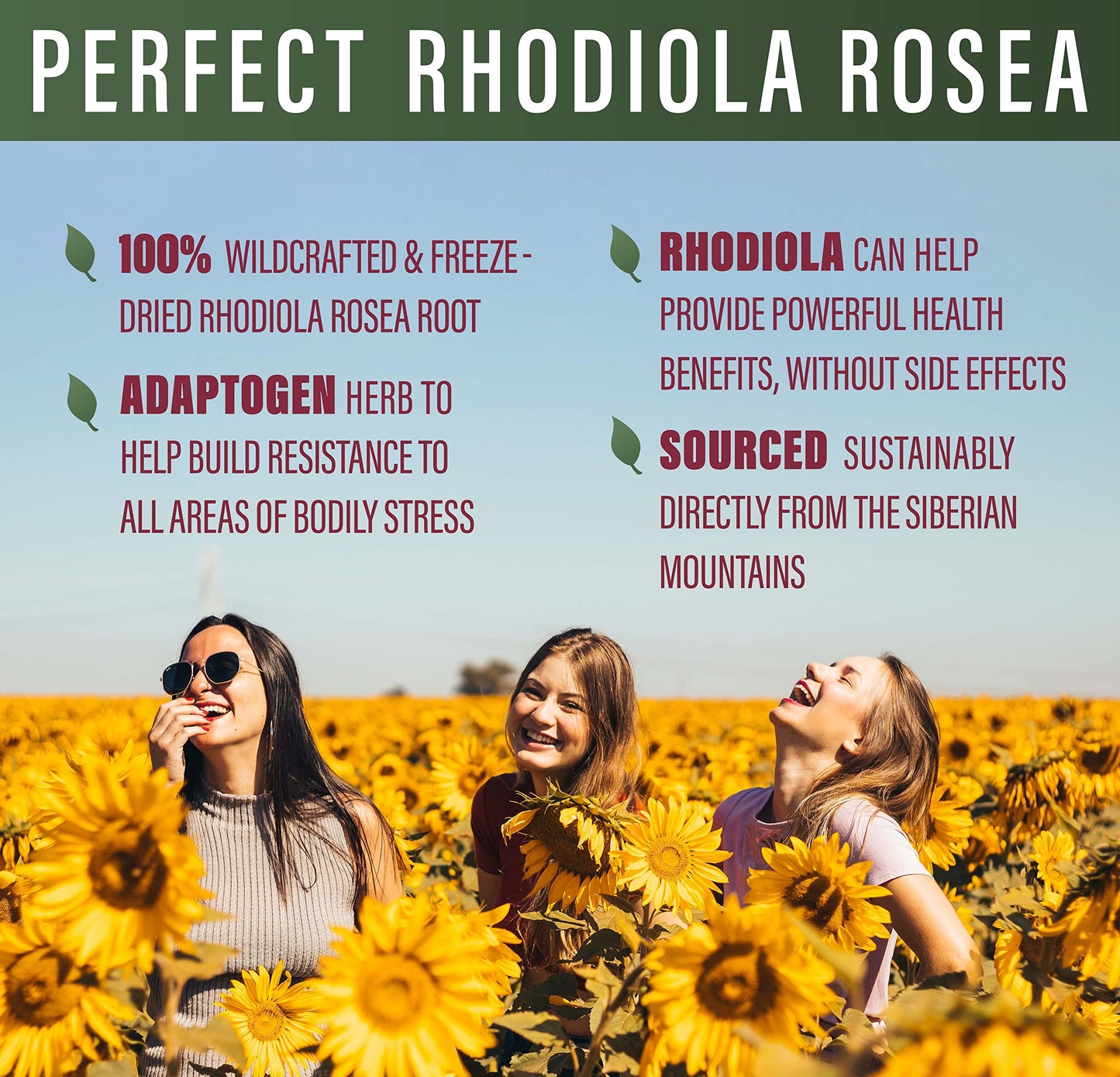 Perfect Supplements Rhodiola Rosea Capsules, 60 Count