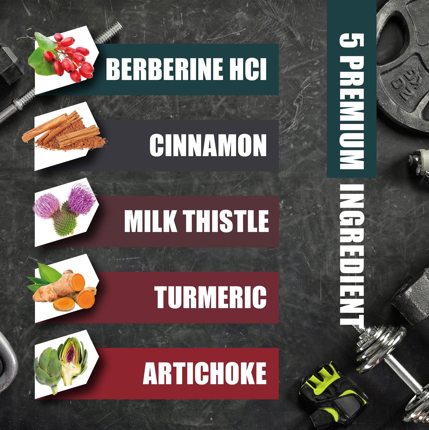 BMVINVOL 5-in-1 Berberine HCl with Ceylon Cinnamon, Milk Thistle, Turmeric, Artichoke, 90 Capsules