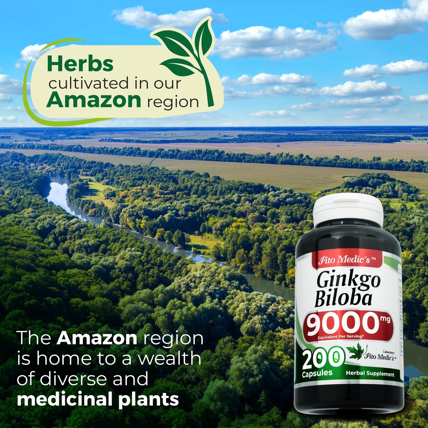 FITO MEDIC'S Ginkgo Biloba Capsules, 200 Count