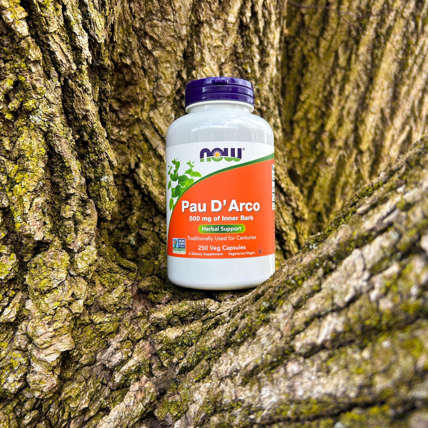 NOW Foods Pau D'Arco (Tabebuia heptaphylla) 500 mg Capsules, 500 Count