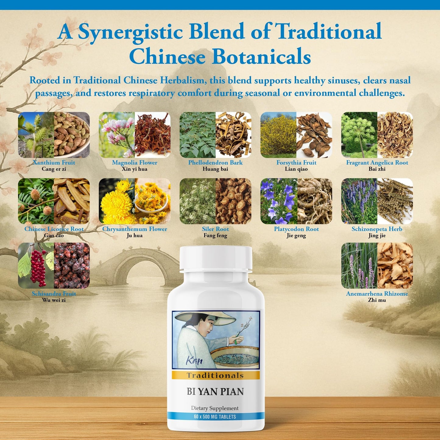 Kan Herbs Bi Yan Pian Tablets, 60 Count