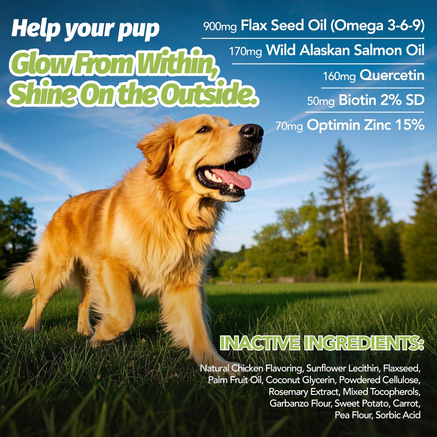MEGNETA Omega 3-6-9 for All Dogs Chewable, 180 Chews
