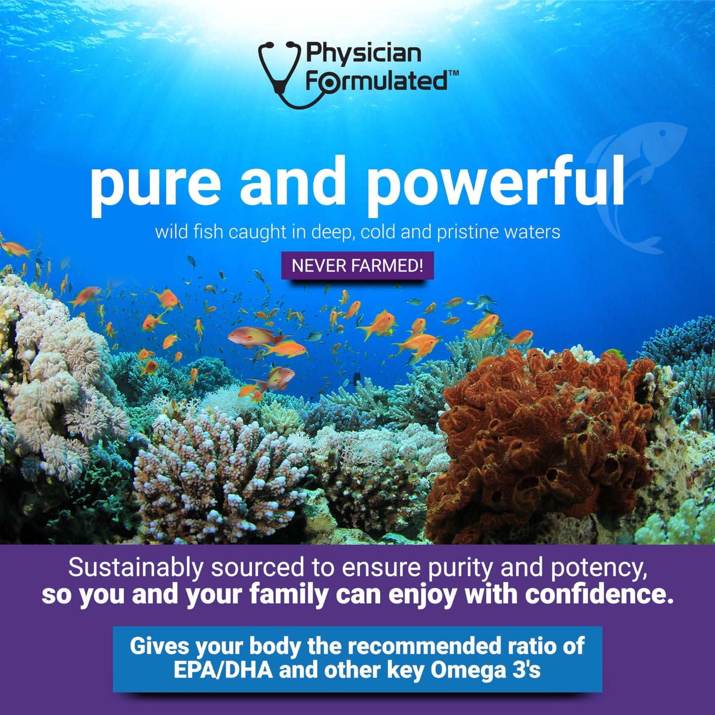 Physician Formulated Fish Oil Omega-3 Softgels 180 Count
