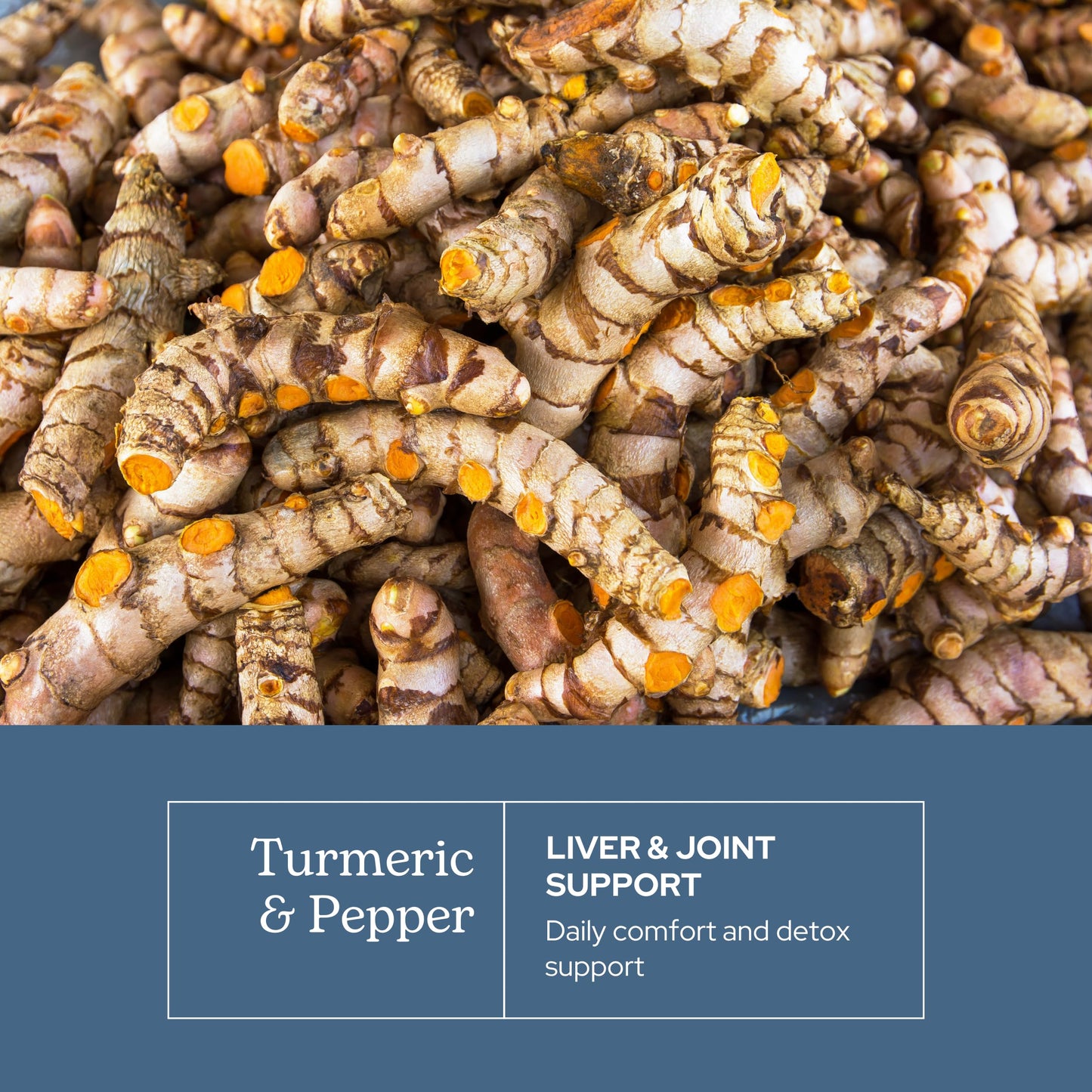 Eclectic Institute Organic Turmeric & Pepper Capsules, 90 Count