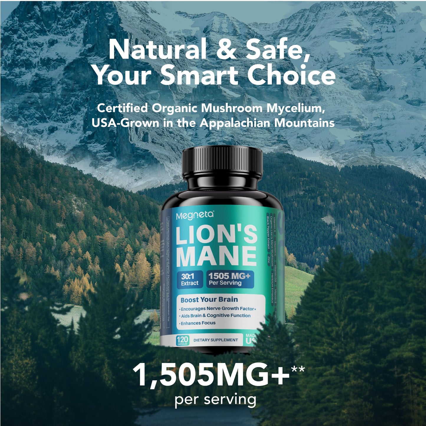 MEGNETA Lion's Mane Extract with Black Pepper Capsule, 120 Count
