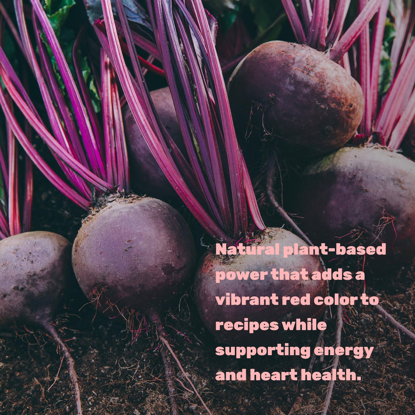 DEAL SUPPLEMENT Organic Beet Root Powder, 48