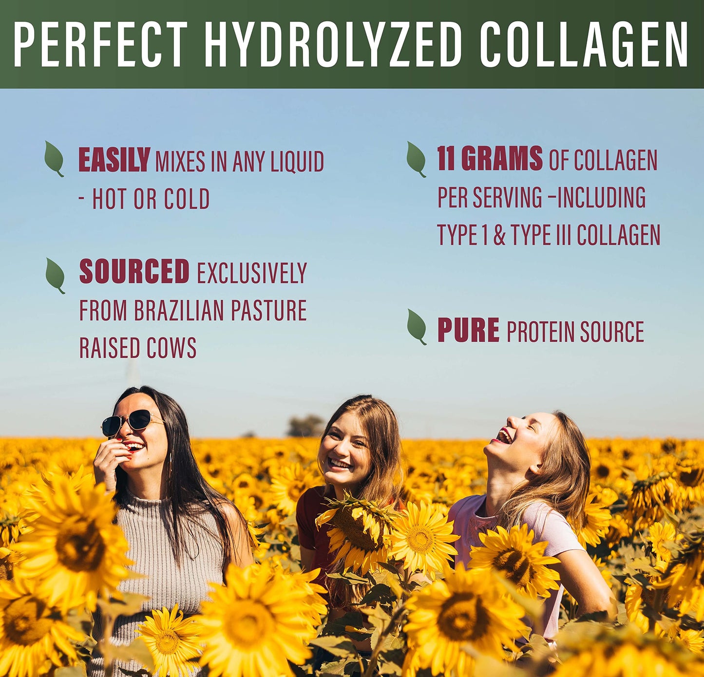 Perfect Supplements Perfect Hydrolyzed Collagen Powder 3 Pack