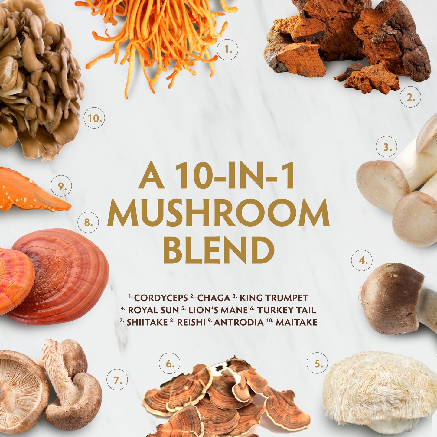 TRIBE ORGANICS Mushroom Golden Blend Vegan Capsules 90 Count
