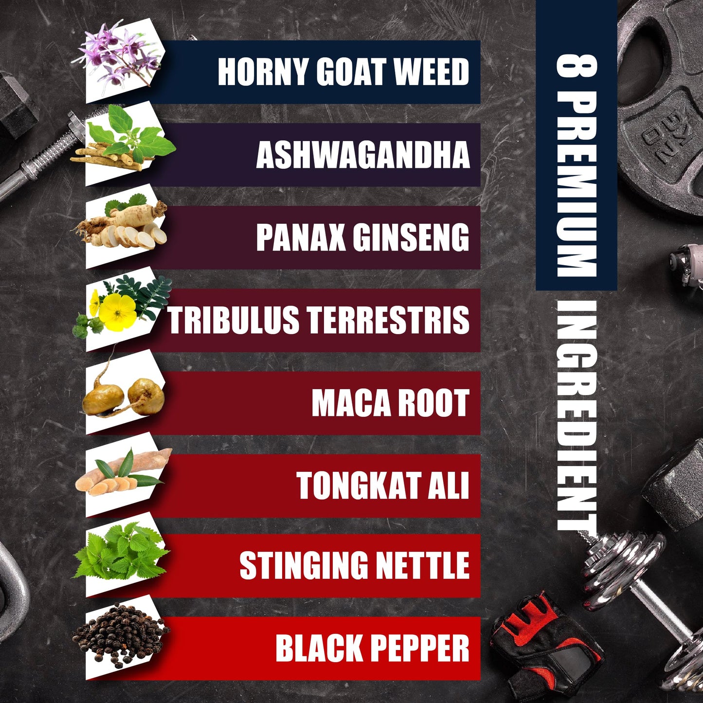 BMVINVOL Horny Goat Weed for Men 90 Capsules