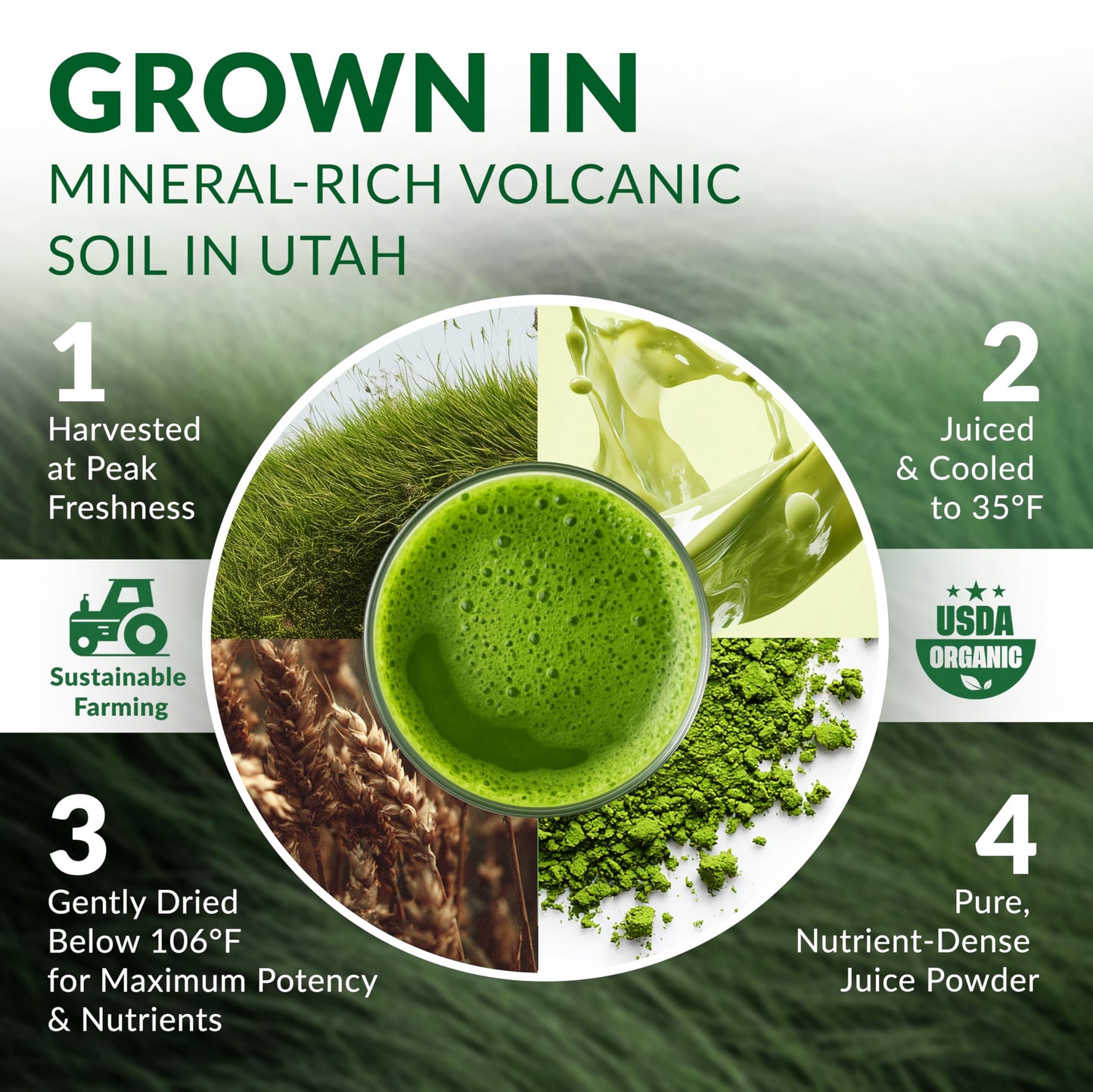 Nautical Elements Organic Wheat Grass Powder 6.35 oz