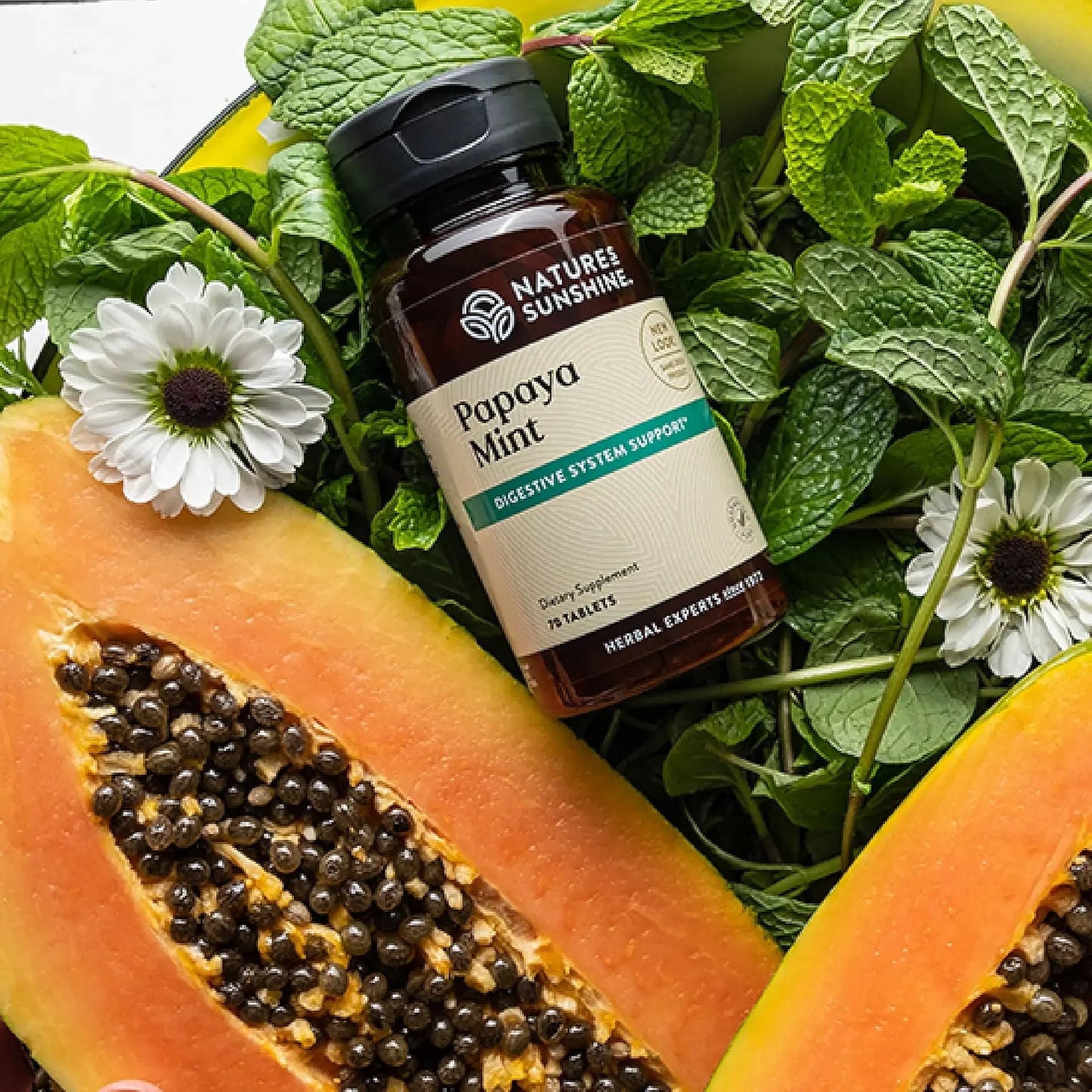 Nature's Sunshine Papaya Mint Chewable Tablets 70 Ct