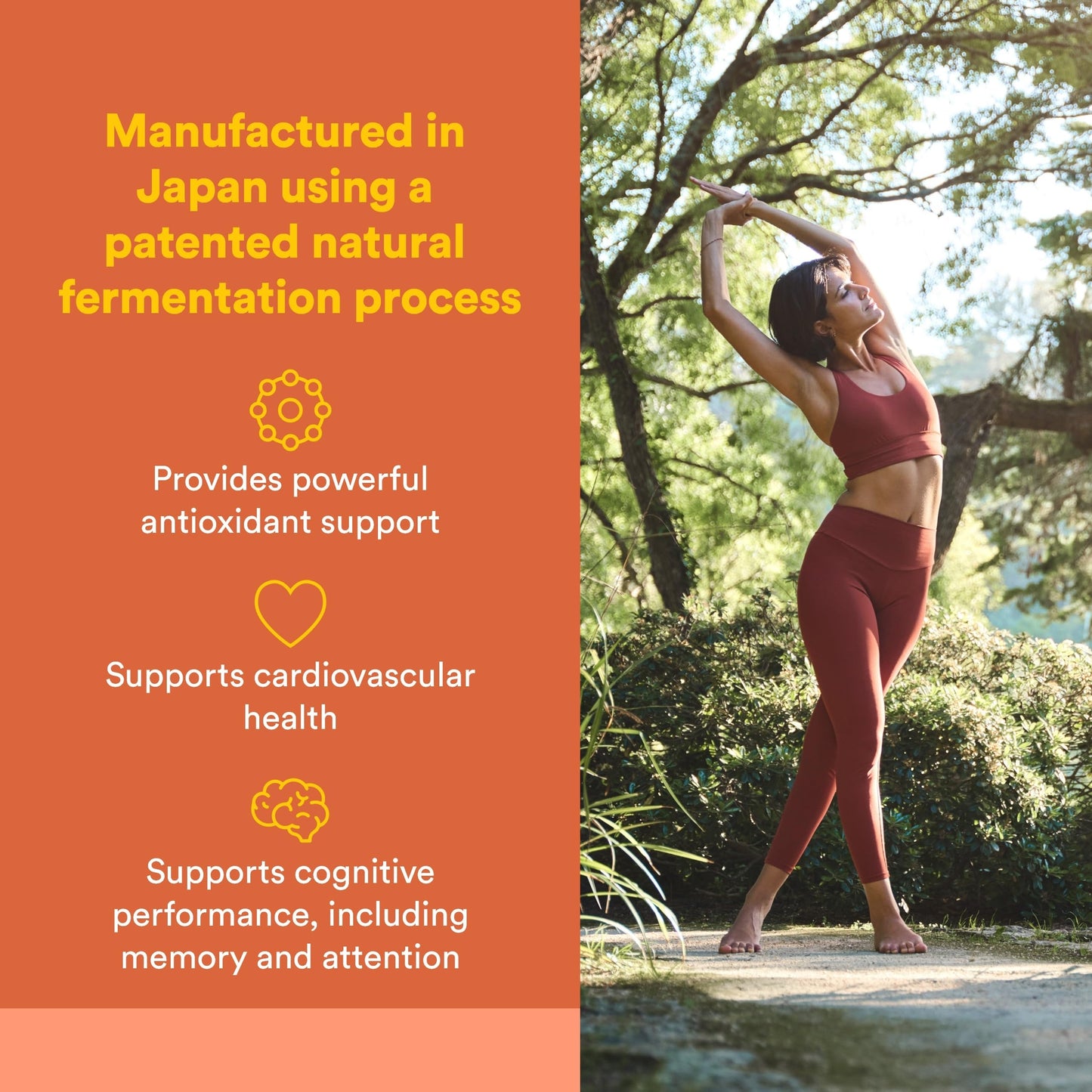 Natural Factors PQQ-10 Softgels 30