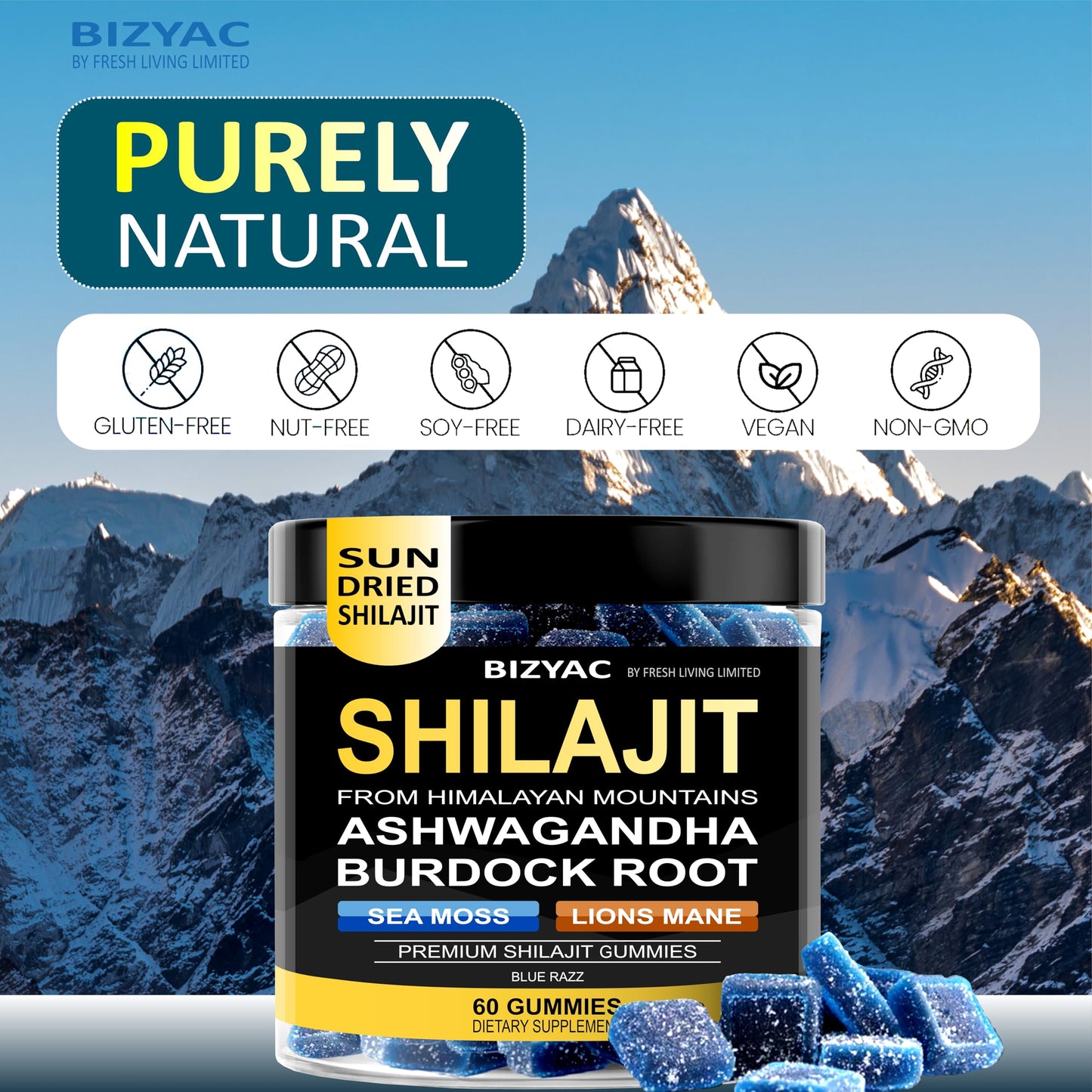 BIZYAC Shilajit Gummies, 60 Gummies