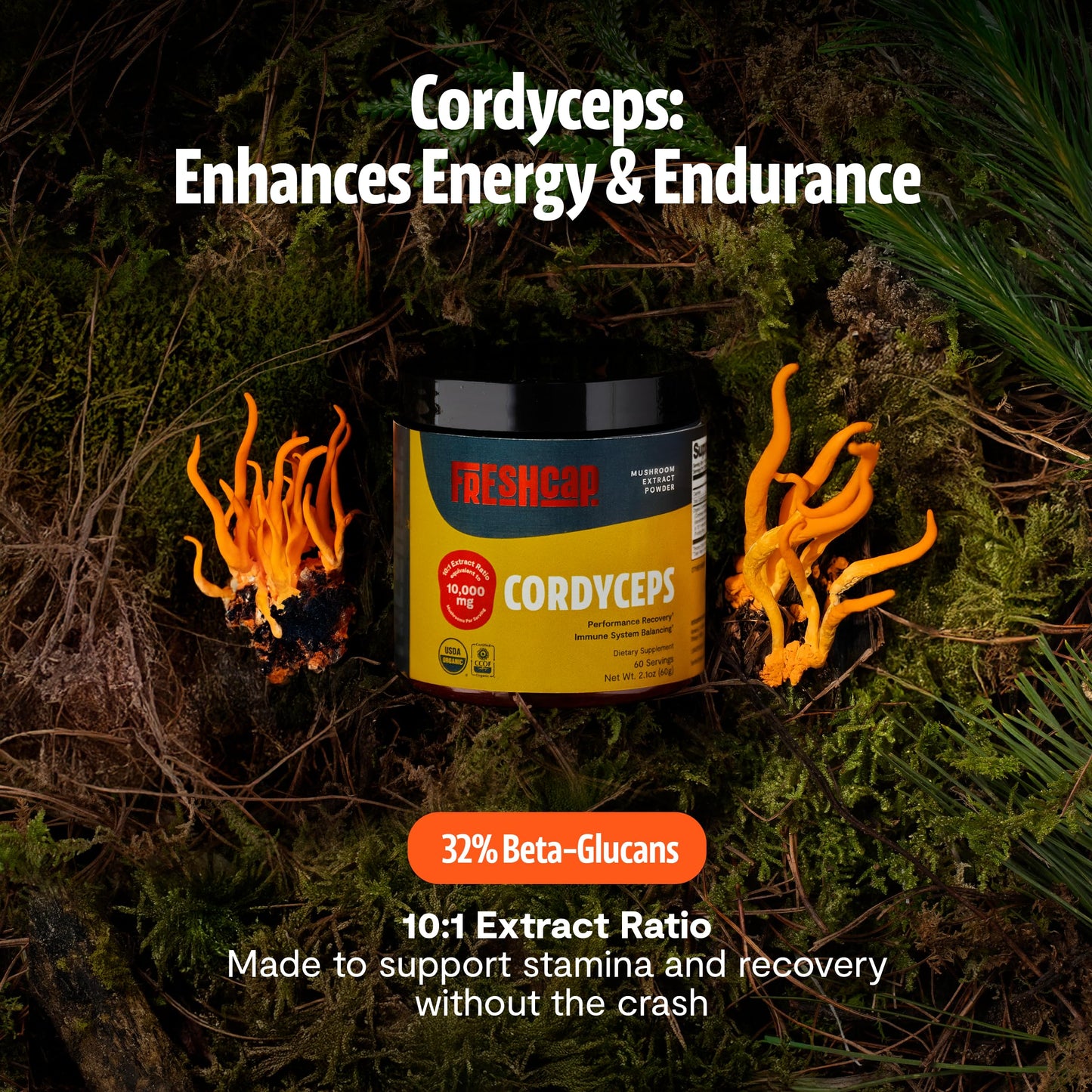 FreshCap Mushrooms Premium Organic Cordyceps Powder 60 Servings