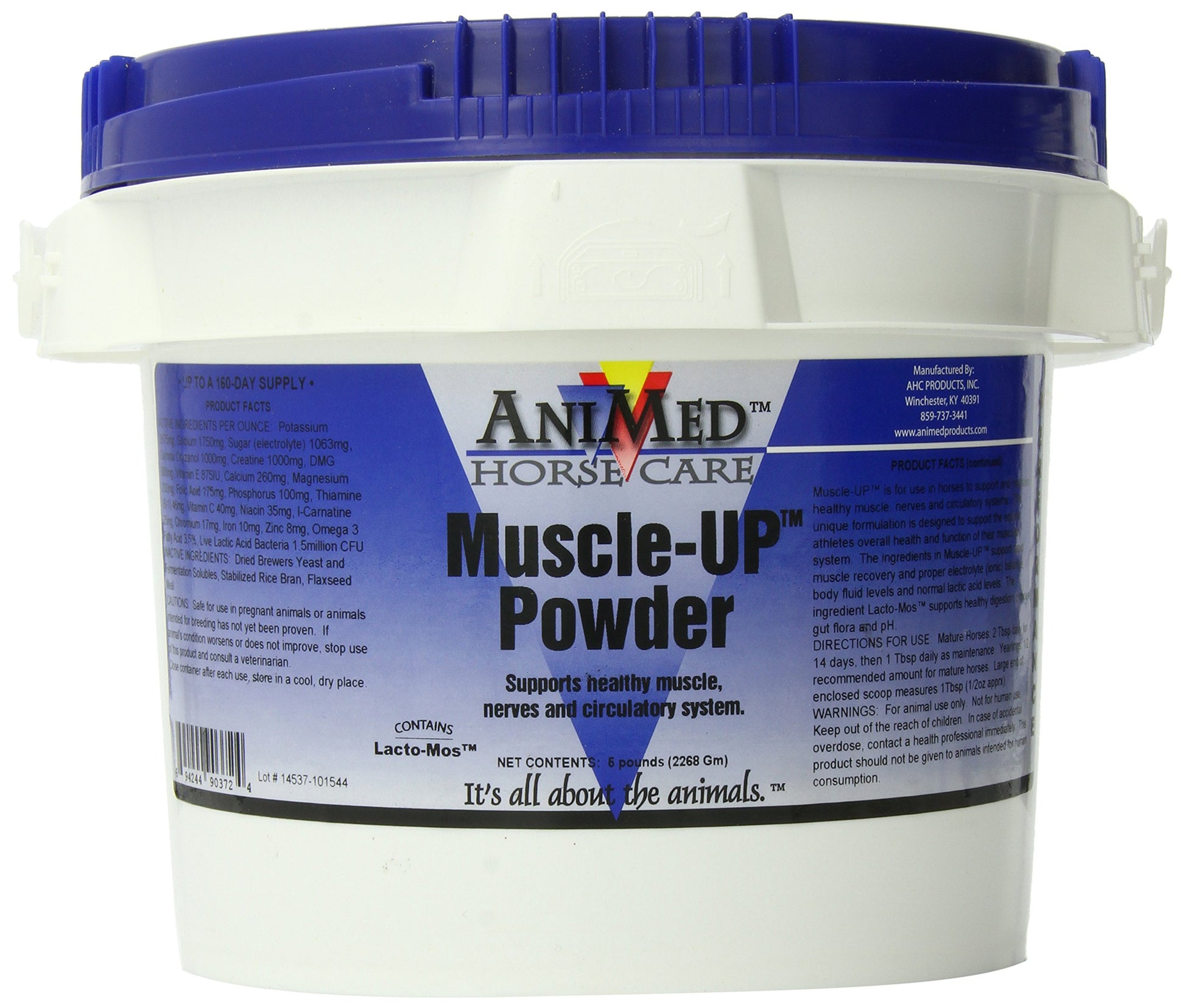 ANIMED MuscleUp Powder 80