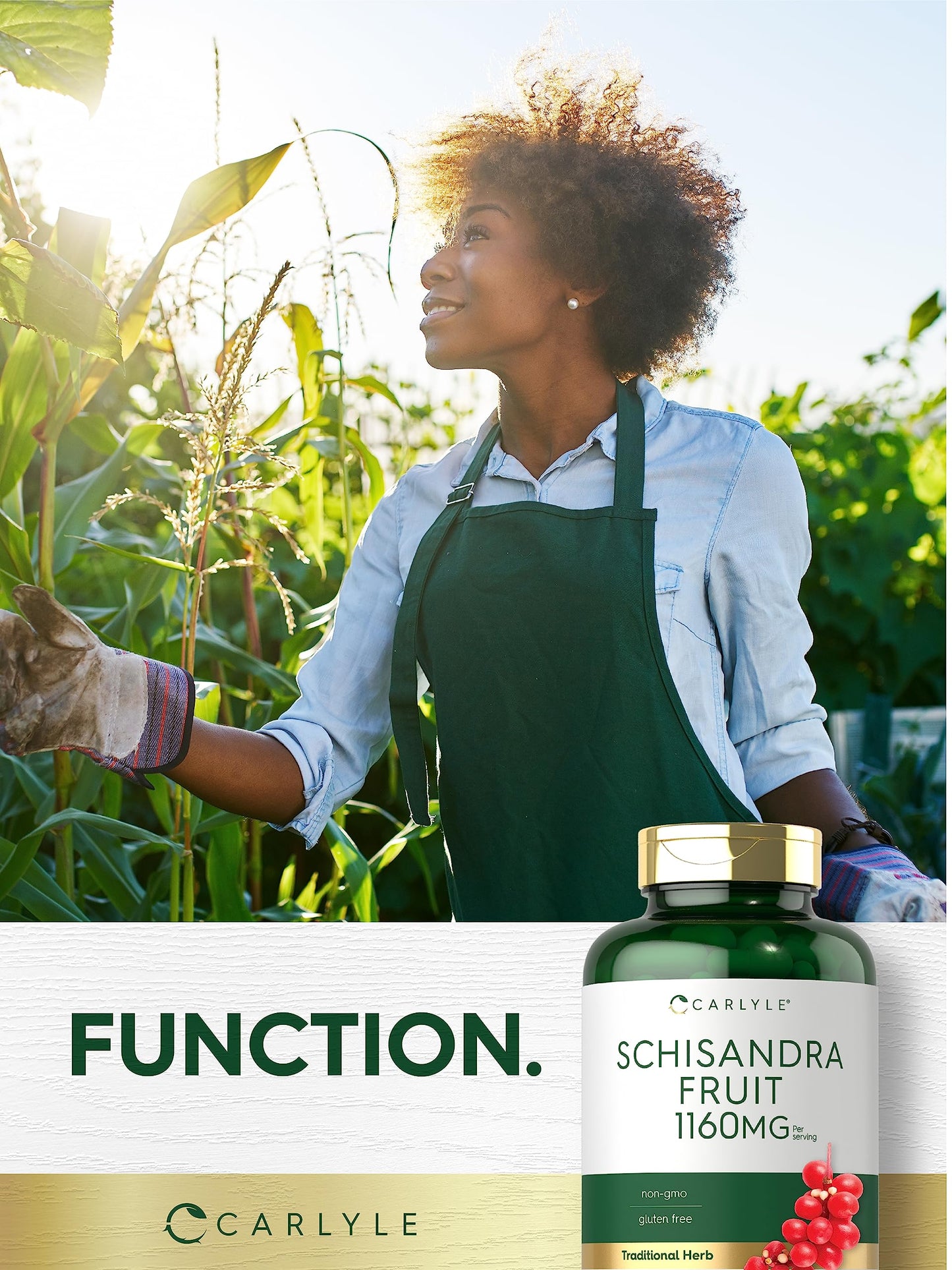 Carlyle Schisandra Supplement 1160 mg Capsule 200 Count