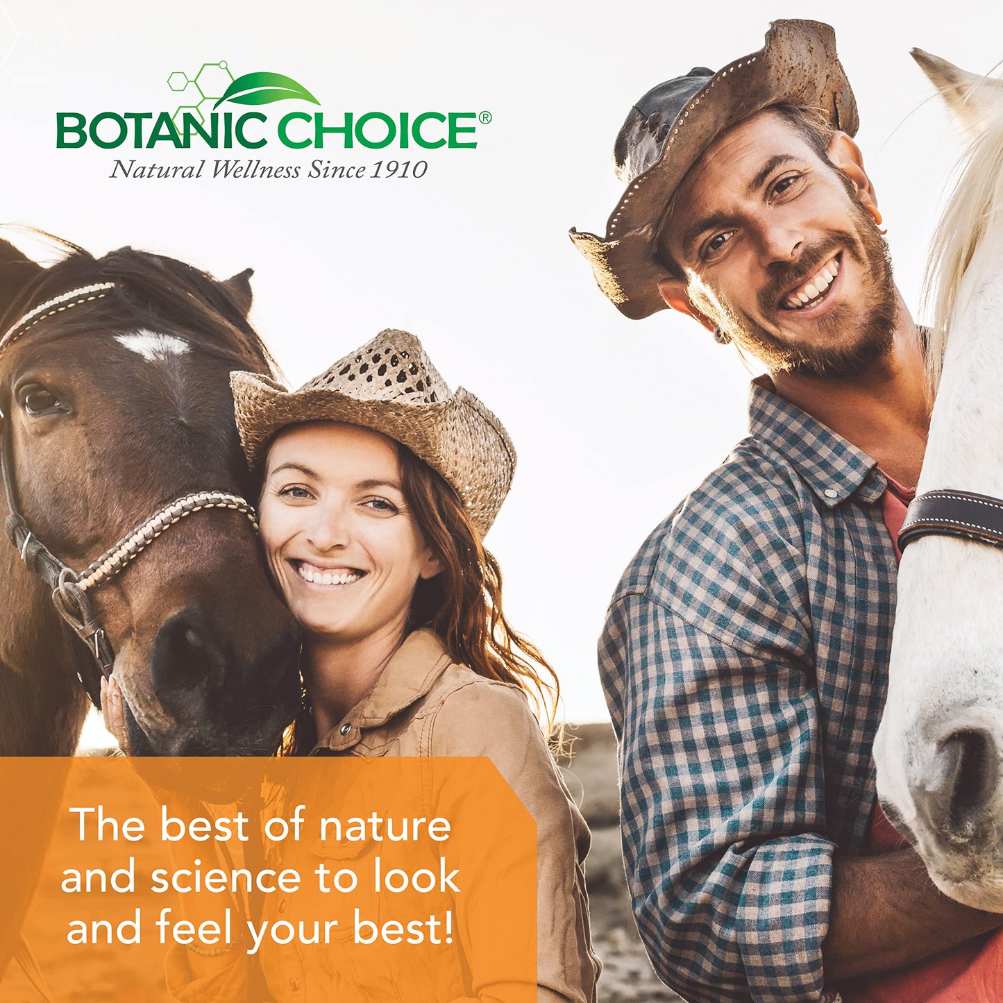 Botanic Choice Oat Fiber Tablets 90