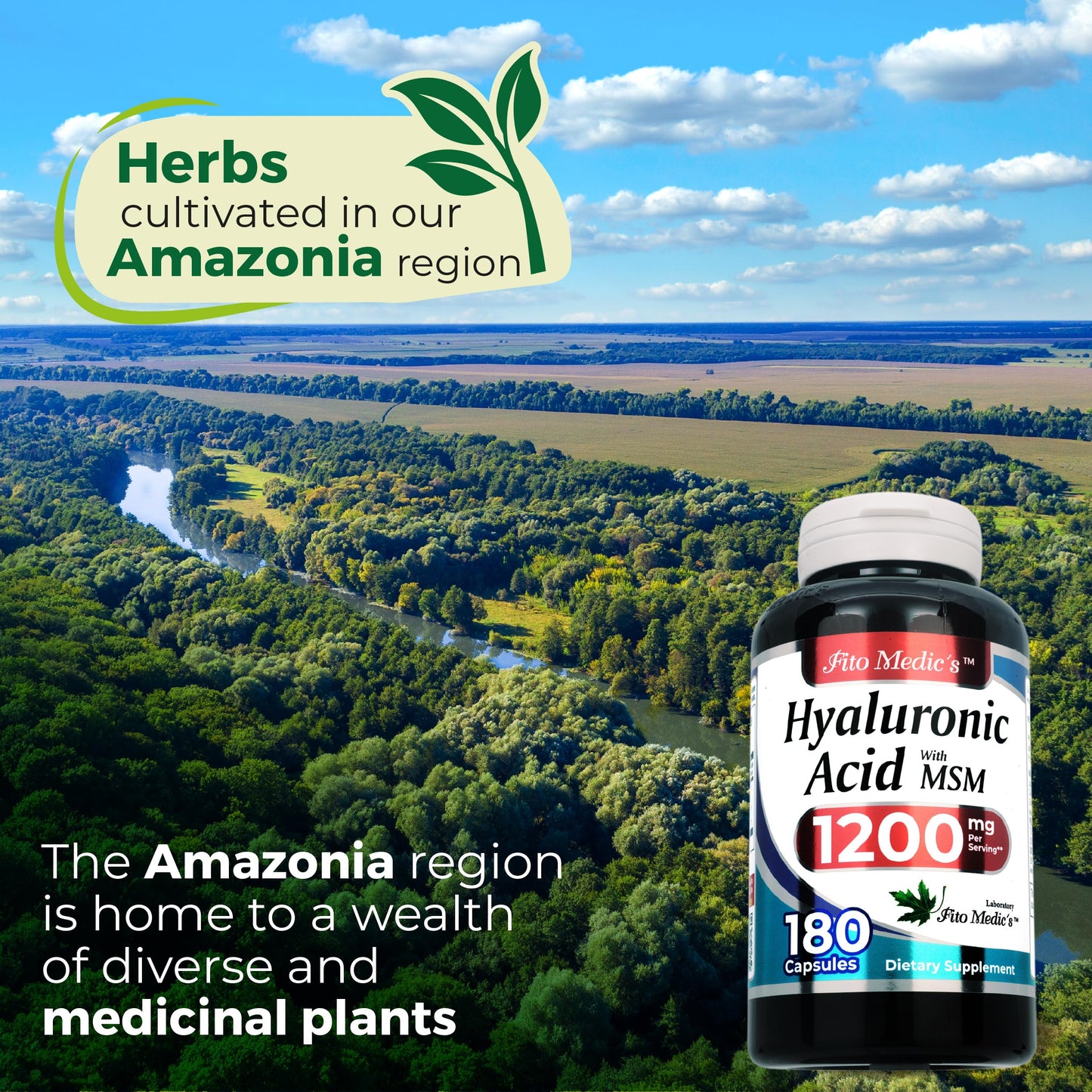 FITO MEDIC'S Hyaluronic Acid with MSM Capsules, 180 Capsules
