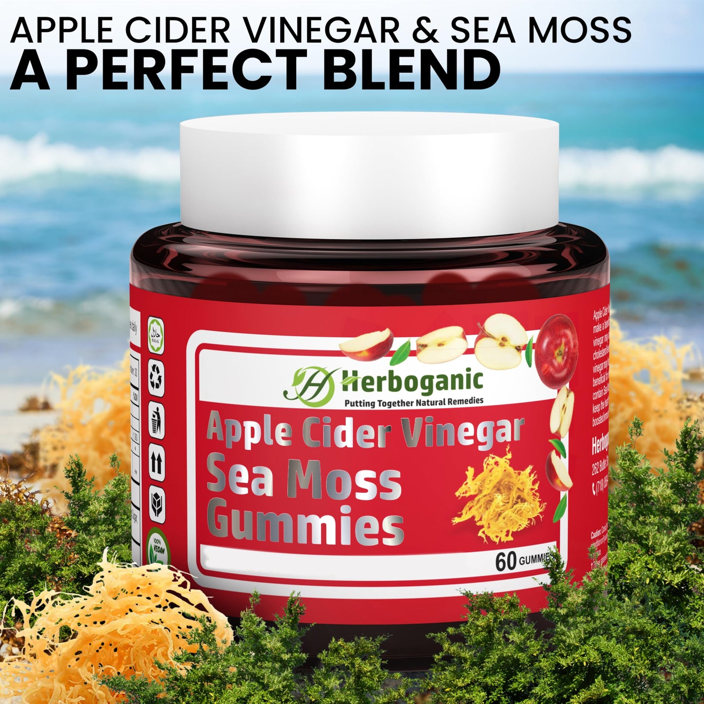 HERBOGANIC Apple Cider Gummies, 60 Gummies