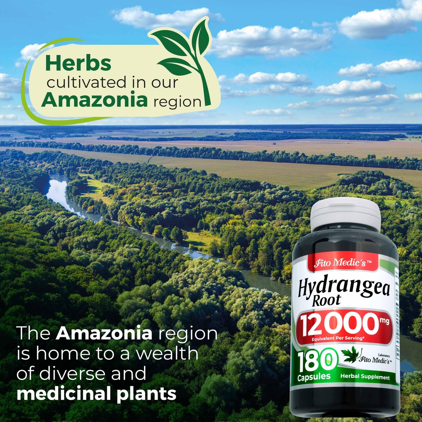 FITO MEDIC'S Hydrangea Root Capsules 180 Capsules