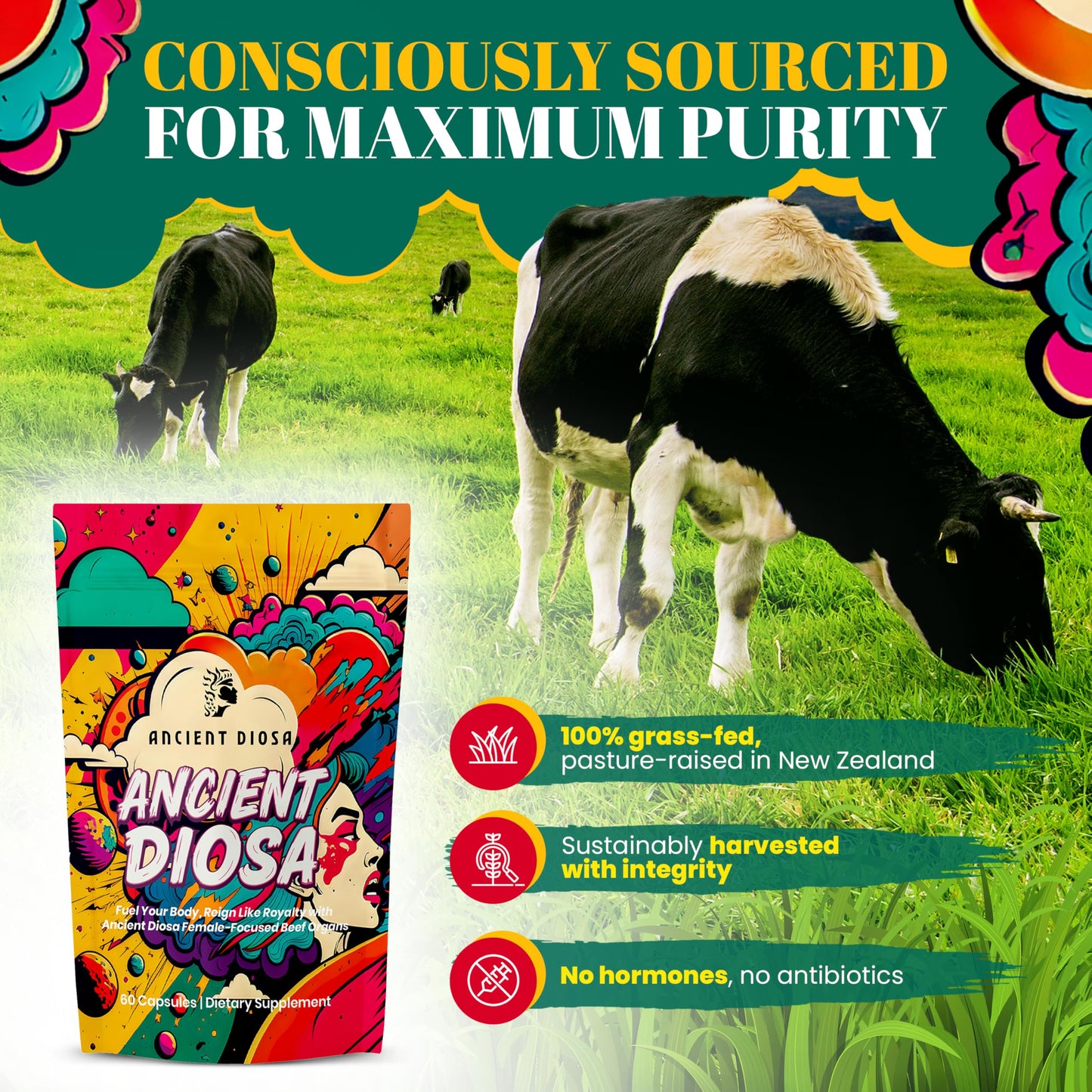 ANCIENT DIOSA Female-Focused Beef Organ Complex Supplement, 60 Capsules