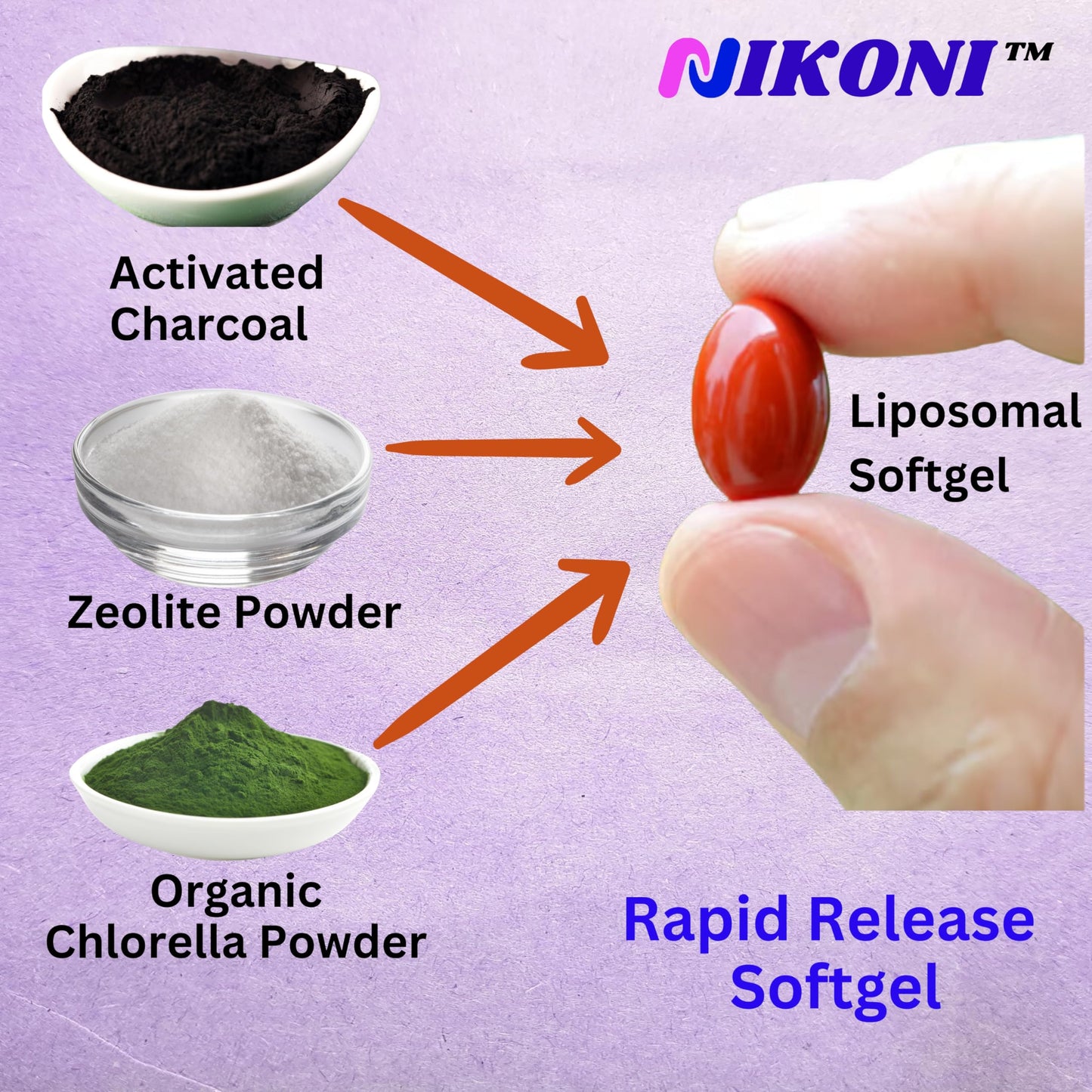 Nikoni Liposomal Zeolite, Activated Charcoal & Organic Chlorella Detox Softgels, 240 Count