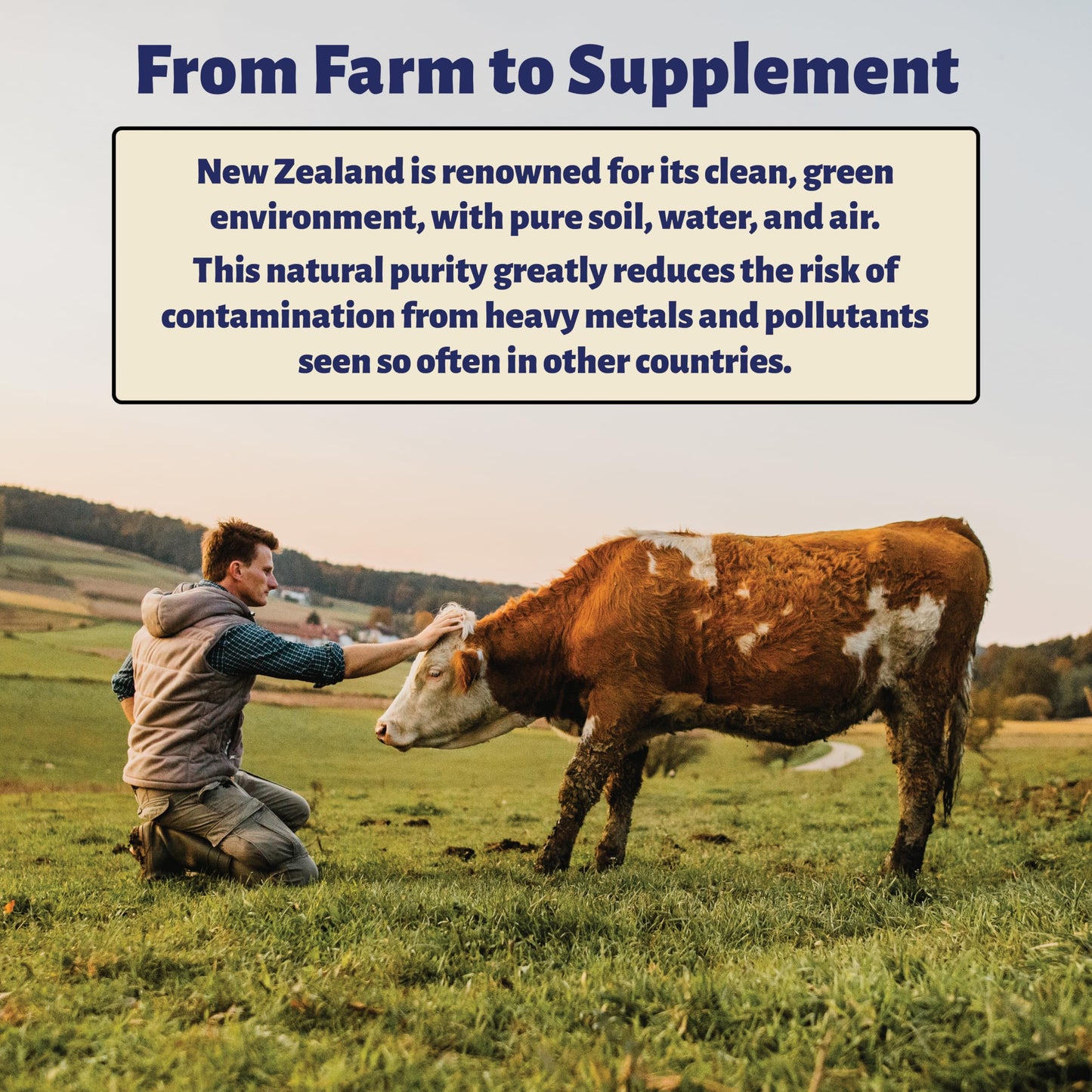 Holy Cow Health Colostrum Tablets 1 Count