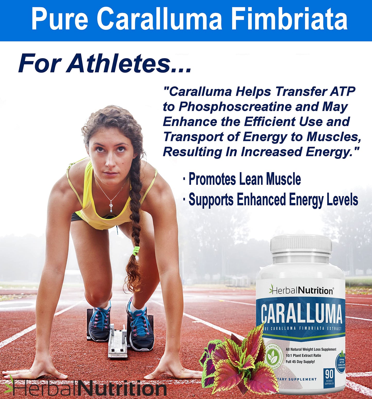 Herbal Nutrition Caralluma Fimbriata 1200mg 10:1 Extract Appetite Support Capsule, 2 Capsules