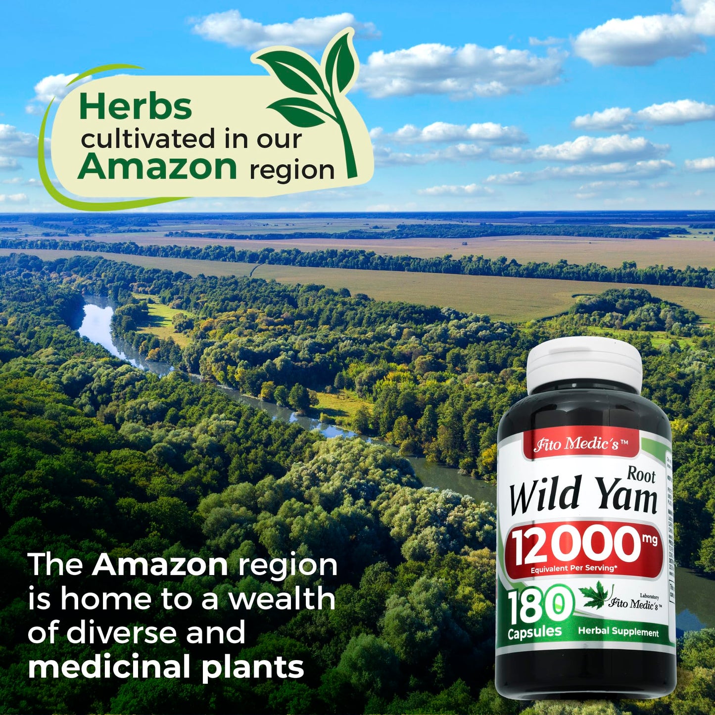 FITO MEDIC'S Wild Yam Root 180 Capsules