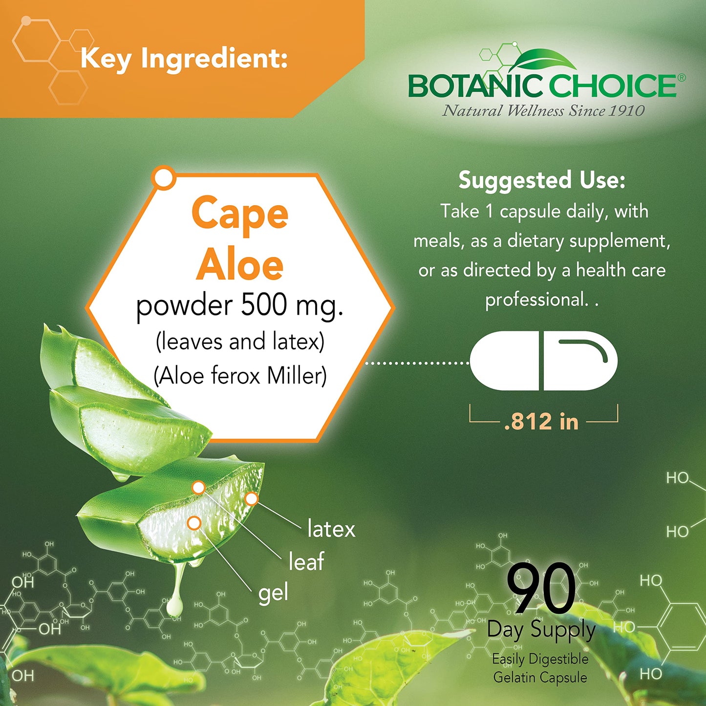 Botanic Choice Mega Fruits and Veggies Blend + Aloe Vera Bundle Capsules, 2-Pack