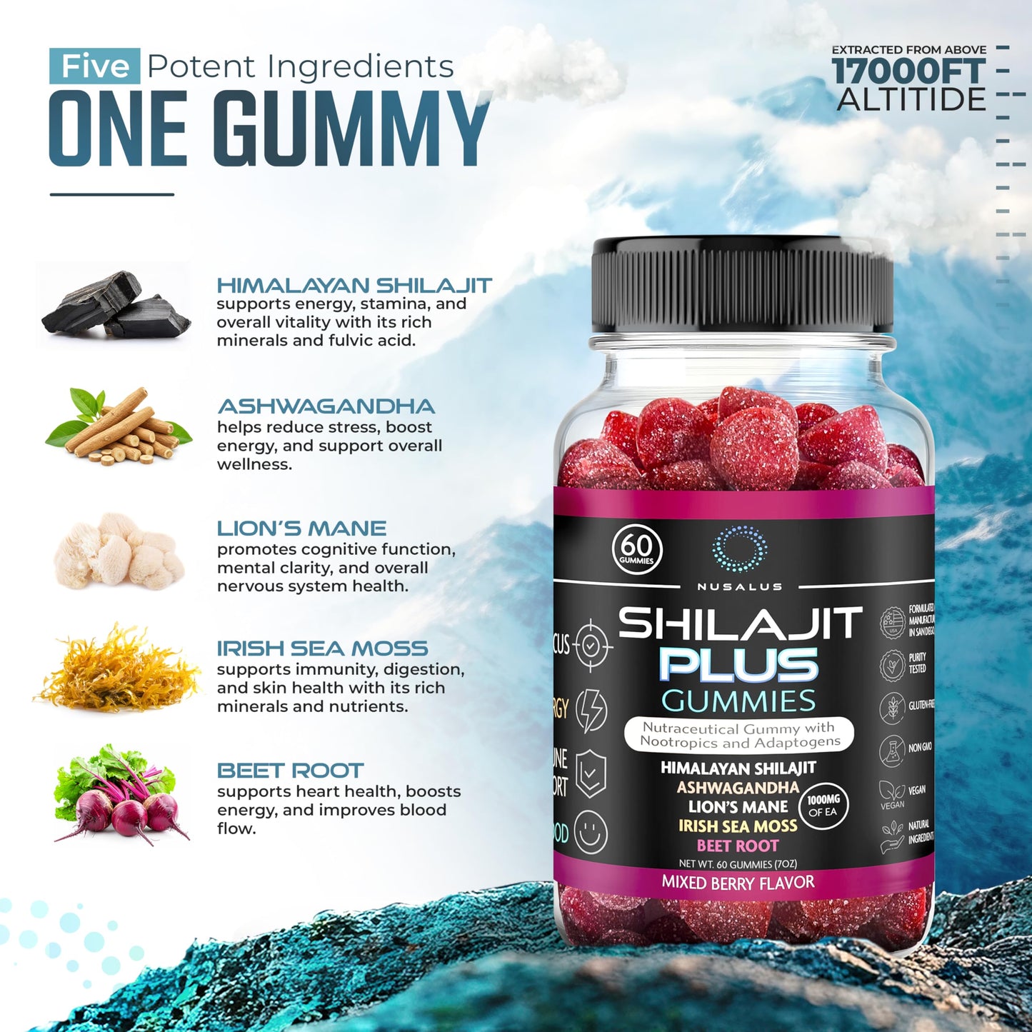 Nusalus Shilajit Plus Gummies 60 Count